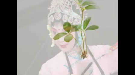 潮剧折子戏《存忠情》翻唱版