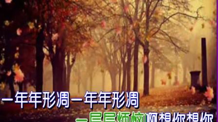 蝴蝶兰伴唱黄梅戏《潜水情》