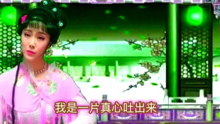 赵丽娜越剧《楼台会》超清字幕版下载