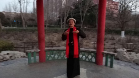 评剧《花为媒》选段 第2018