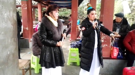 《盘夫索夫》陆建萍 中山公园越剧