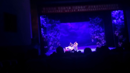 评剧《紫花丁》