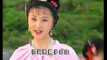 黄梅戏《龙凤奇缘》经典唱段