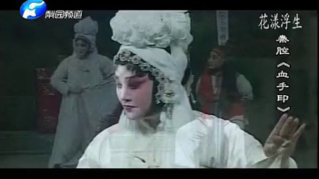 秦腔《血手印》全本下载