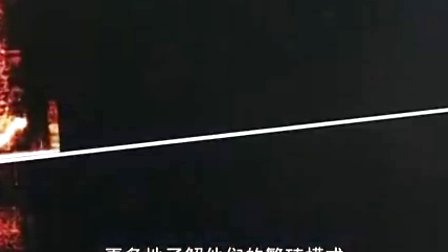 TOP15荒野求生 (一)
