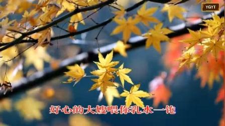 淮剧《李三娘》选段 窦公送子  淮剧名家王