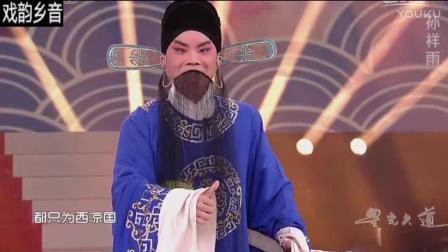 豫剧《刘墉下南京》选段 演唱 孙祥雨