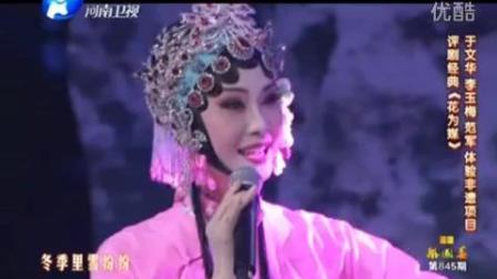 评剧《花为媒》  于文华  范军  刘玉梅下载