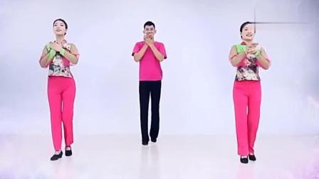 《蓝色雨》主题曲广场舞教学视频第一部