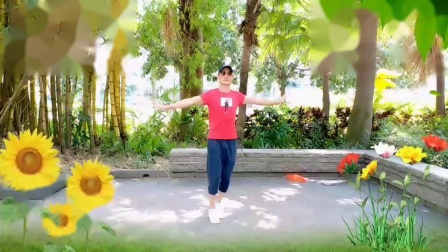 叶林广场舞《老婆老婆你要乖》原创附背面演