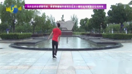 楠楠广场舞《情哥哥情妹妹》零基础第六课恰
