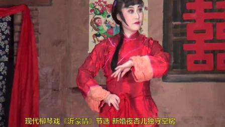 现代柳琴戏《沂蒙情》节选新婚夜杏儿独守空