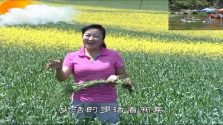 青海民间花儿小调《菜花黄》(二)