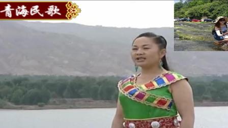 青海民间花儿小调《菜花黄》(三)