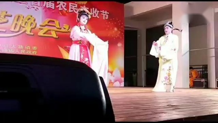 琼剧张文秀选段《偷包袱》 表演者 郑贻海 