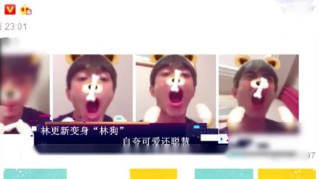 小品《为您服务》林永健杨少华李明启王丽云精彩演绎 爆笑全场下载