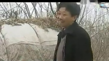 民间小调《小寡妇卖鸡》下集