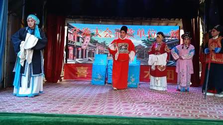 泗州戏《金钱红绫记》全场 主演 罗军 杨翠