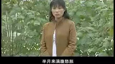 安徽民间小调《孬种丈夫苦命的妻》