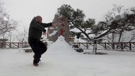 风雪太极拳
