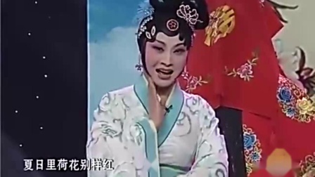 《唐伯虎点秋香》梨园春 周炜 金不换戏曲小