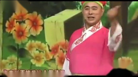 东北二人转《楼台会》选段 表演 邹小龙 小豆豆下载