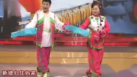 东北二人转《小拜年》 表演 张晓东 付莲英下载