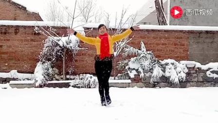 雪中起舞《又见雪花飞》玫香广场舞