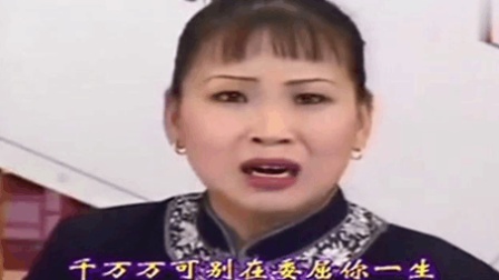 河南坠子《皇爷私访陈州城》胡中花