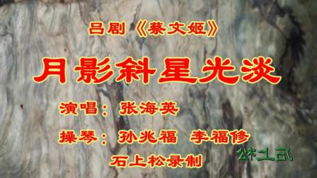 吕剧《月影斜星光淡》
