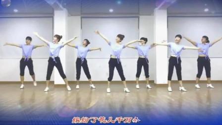 广场舞步分解动作 广场舞瘦身舞 广场舞教学
