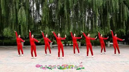 摇摆哥广场舞分解动作教学视频 跳个广场舞