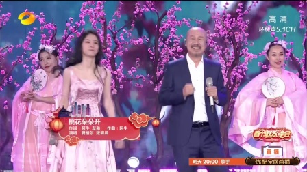 歌曲《桃花朵朵开》 腾格尔 张碧晨
