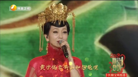 歌曲《问情》赵雅芝