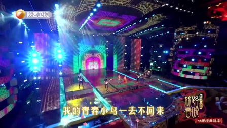 歌曲《青春舞曲》扎西 凌岑