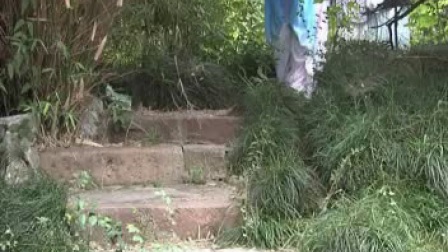 庐剧 小姨子勾姐夫 1