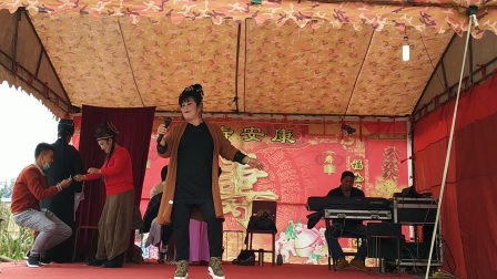 淮海琴书 杨霞 小段