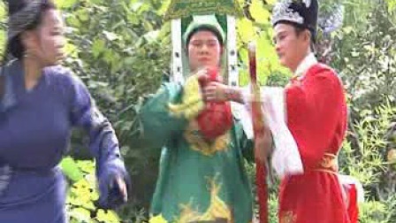 庐剧《小姨子勾姐夫》四高清