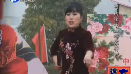 河南坠子《呼家将》胡银花