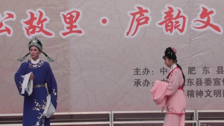 庐剧 郑飞凤
