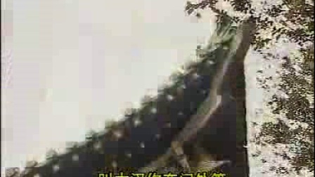 河南坠子《王华买爹》1至8集
