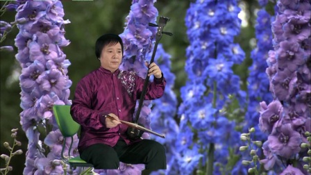 曲剧伴奏《刘备哭灵》 梁献君演奏