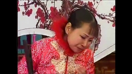 河南坠子《新媳妇打婆子》 《河南坠子小品