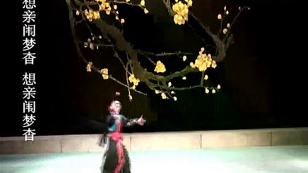 湖北汉剧《打花鼓》等 普及版高清