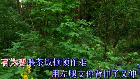 曲剧《小寡妇上坟》年年有个三月三