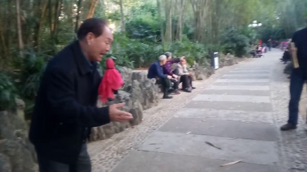 曲剧《刘全哭妻》开封叶圣贤演張岳超伴奏20