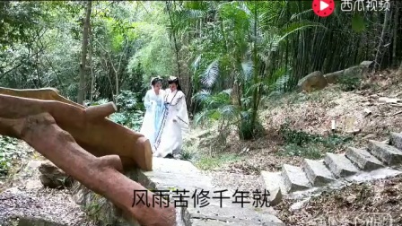 金松燕自拍歌仔戏《石恋》