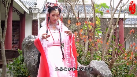 歌仔戏《四季美人》正片超清下载