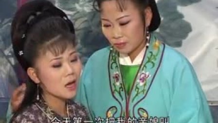 庐剧《儿不嫌母丑》碟片版 4