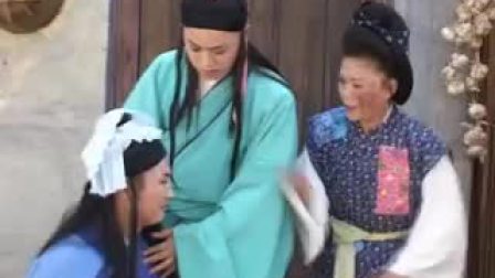 庐剧《儿不嫌母丑》碟片版 5